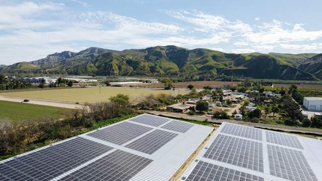 Low aerial across the covers toward the green coastal range