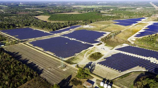 Aerial of a large ground-mount solar farm bordered by pine forest