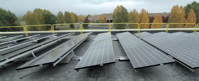 Rooftop panels on ballasted racking with autumn trees behind